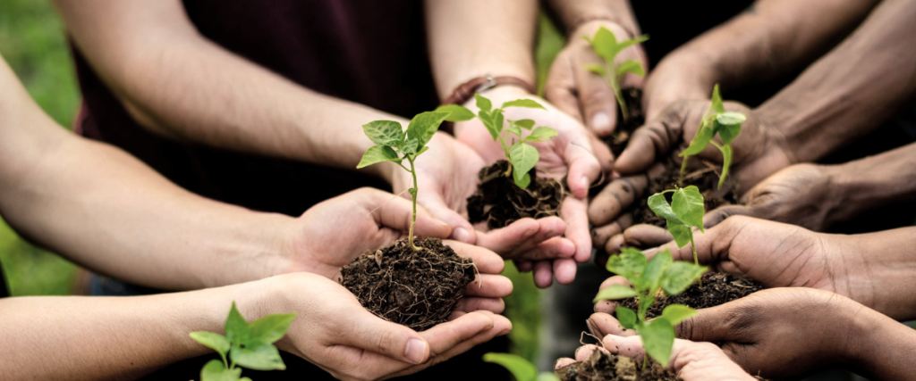 Environment NGO